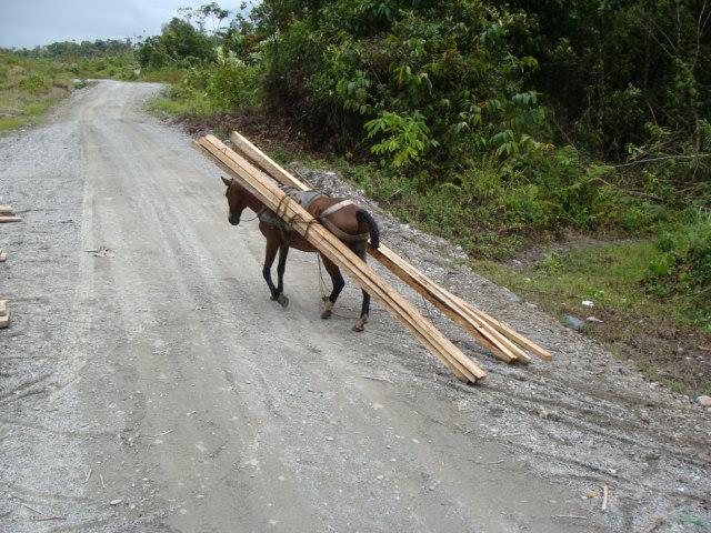 Colombia 160.jpg